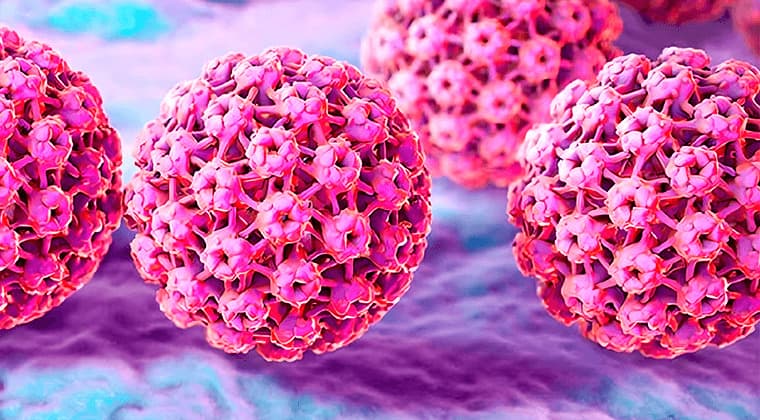 Virus del papiloma humano vph